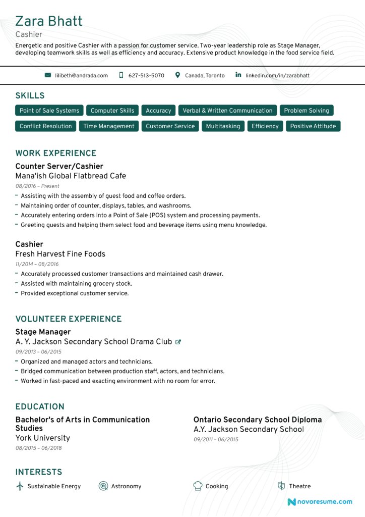 Resume Templates Skills Based Professional Templates