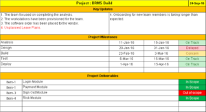 Software Testing Weekly Status Report Template (2) - PROFESSIONAL ...