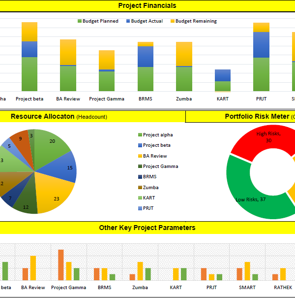 Project Status Report Dashboard Template (1) PROFESSIONAL TEMPLATES