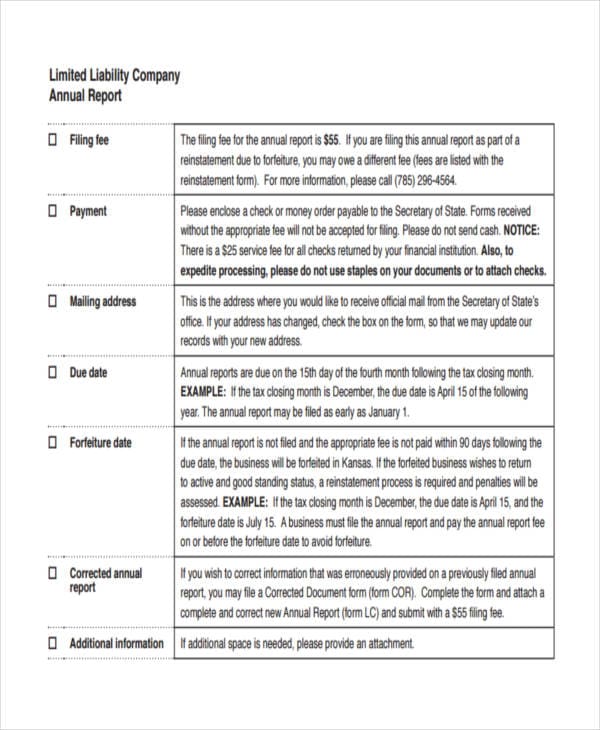 Llc Annual Report Template