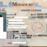 Blank Drivers License Template (2) - PROFESSIONAL TEMPLATES ...