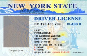 Blank Drivers License Template (4) - PROFESSIONAL TEMPLATES ...