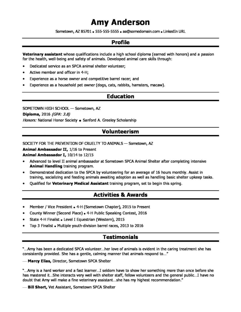 Resume Templates Monster (5) - PROFESSIONAL TEMPLATES | PROFESSIONAL ...