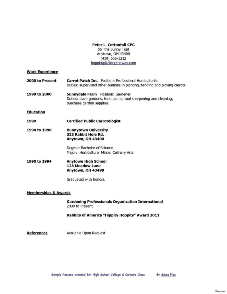 resume with no experience high school template