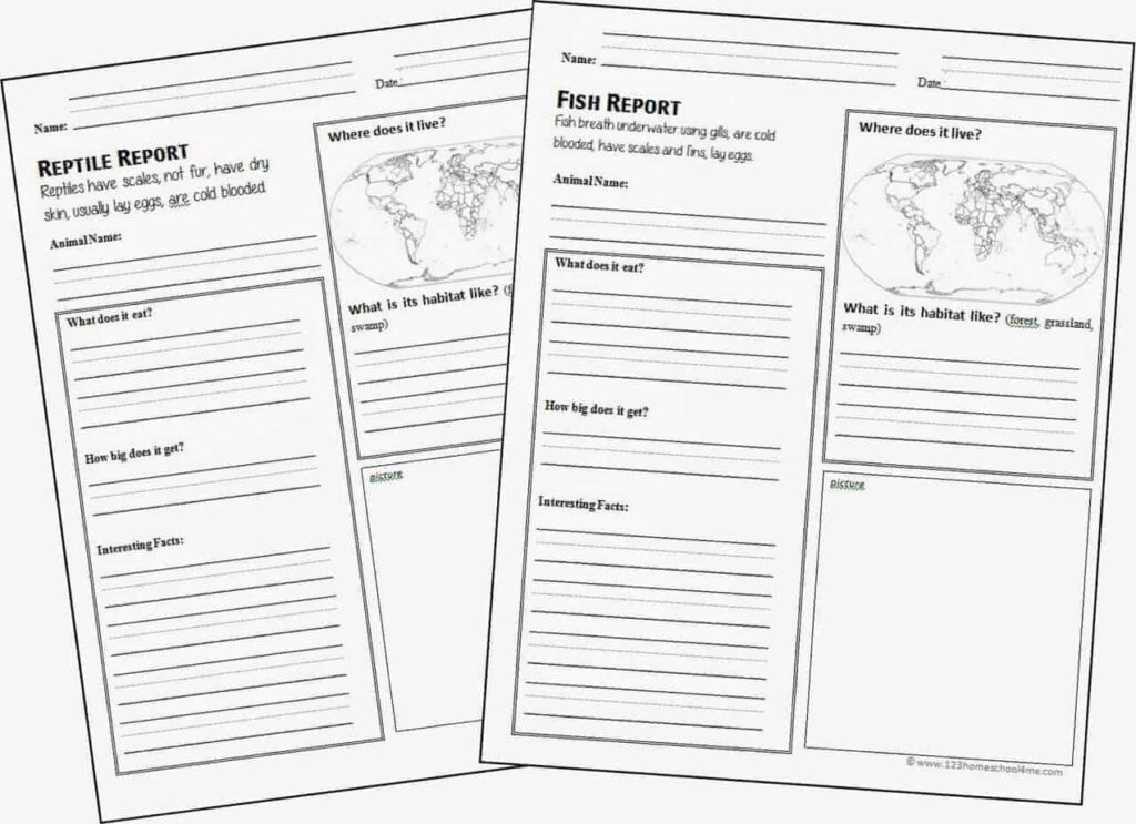 Animal Report Template 3rd Grade Pdf (1) - PROFESSIONAL TEMPLATES ...